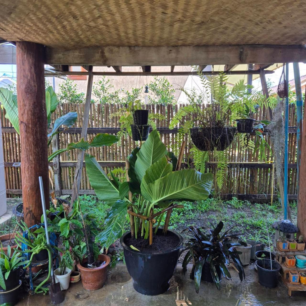 Kedthawa Homestay เฮือนเก็ดถะหวา Ban Cho Lae Exterior foto